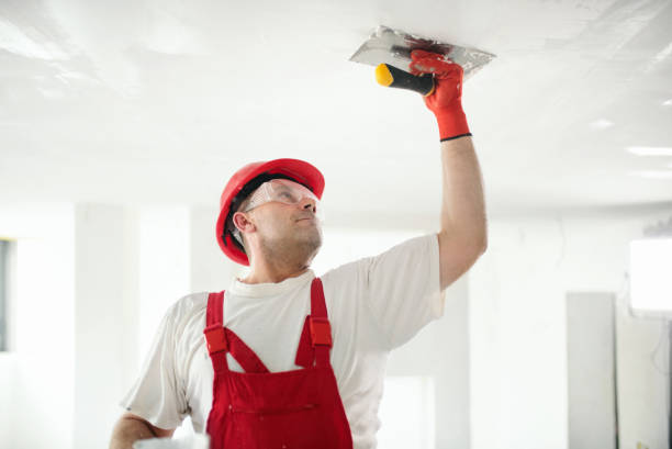 Best Eco-Friendly and Low-VOC Painting  in Washburn, ND